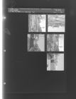 Drainage Line (5 Negatives (February 27, 1960) [Sleeve 74, Folder b, Box 23]